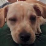 Foto do perfil de Brenner Silva